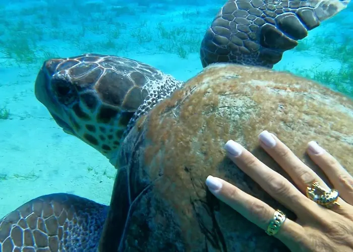 Waterfront - Stunning 6 Bedroom Annita With Pool Mykonos Town