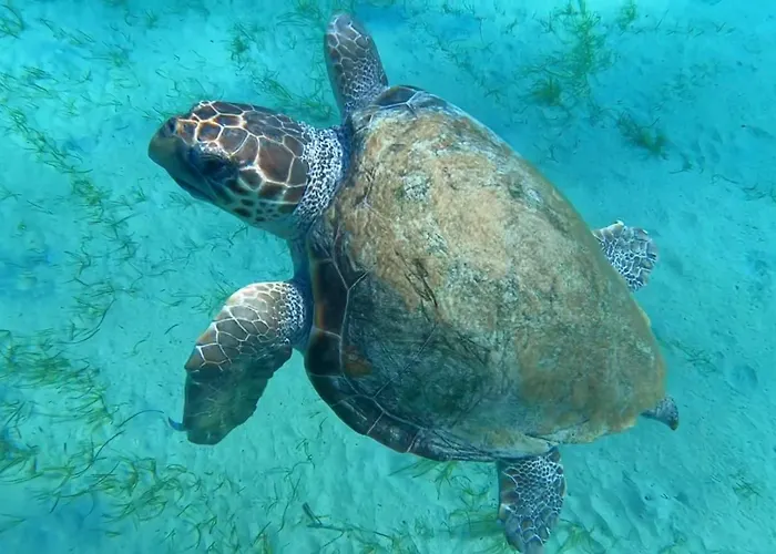 Waterfront - Stunning 6 Bedroom Annita With Pool Villa *