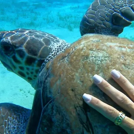 Waterfront - Stunning 6 Bedroom Annita With Pool Mykonos Town